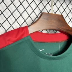 24-25 Liverpool Green Training Fans Jersey