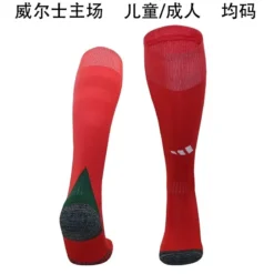 2024 Wales Home Socks